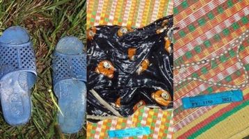 Hà Nội: Tìm tung tích cụ bà tử vong ở cánh đồng Rắn